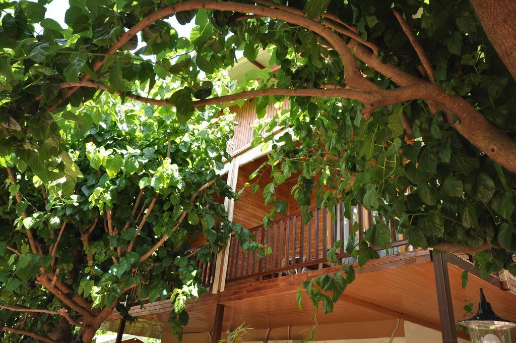 Hotel Cesur Pansiyon Çıralı Exterior foto