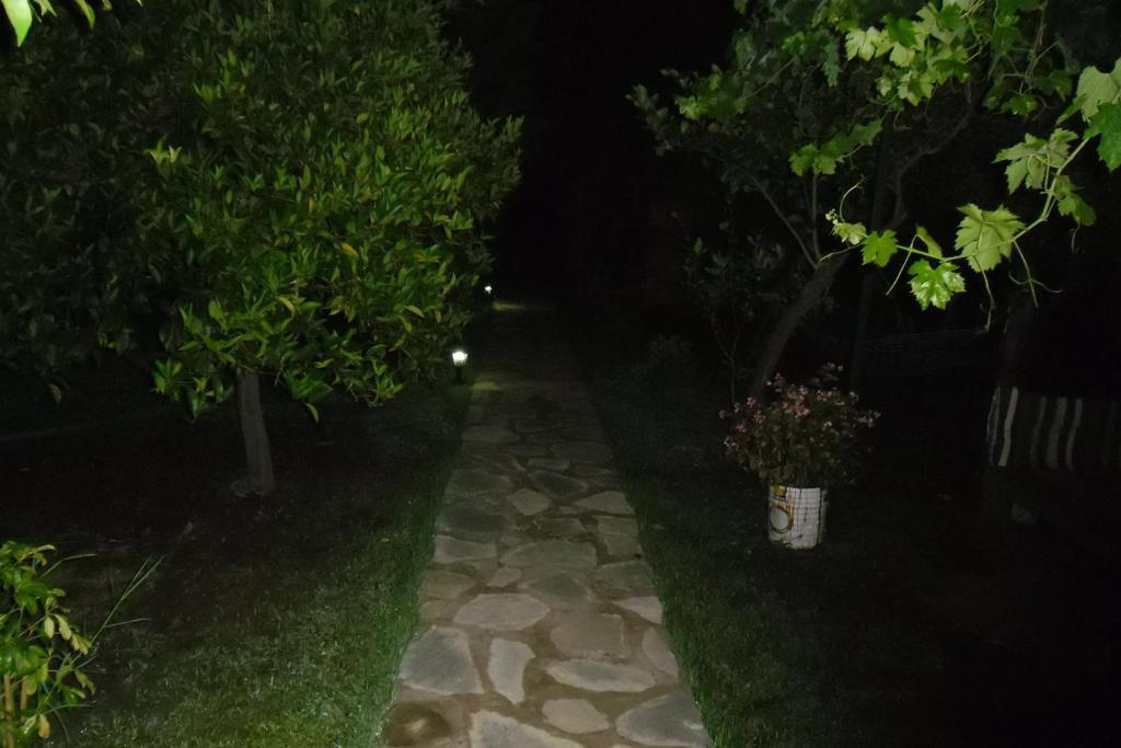 Hotel Cesur Pansiyon Çıralı Exterior foto