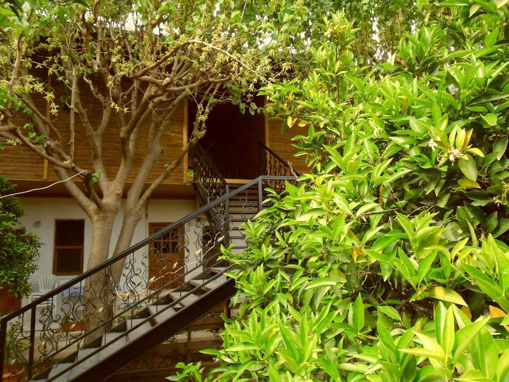 Hotel Cesur Pansiyon Çıralı Exterior foto