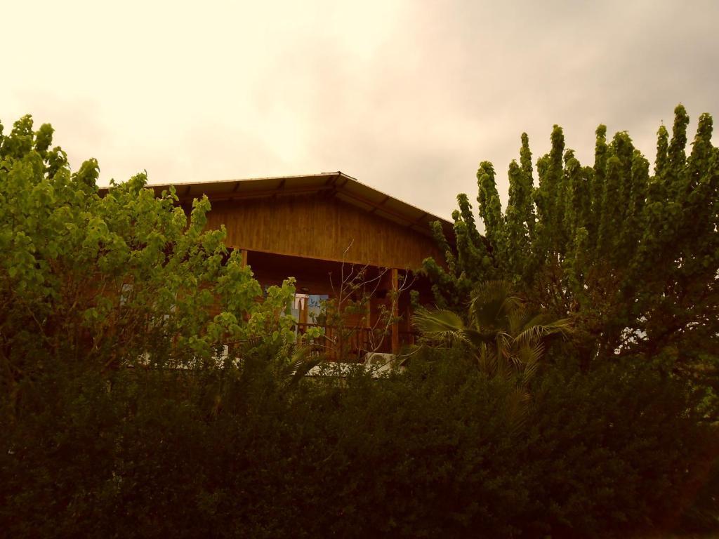 Hotel Cesur Pansiyon Çıralı Exterior foto